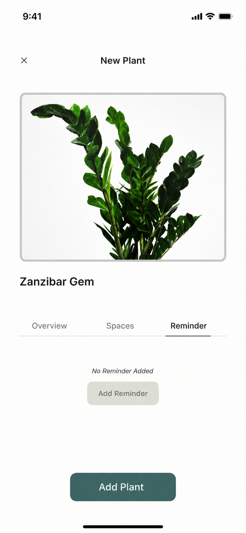 Plant details with Reminder tab — Plant Care Companion app